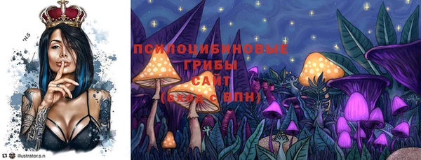 jwh Вязьма